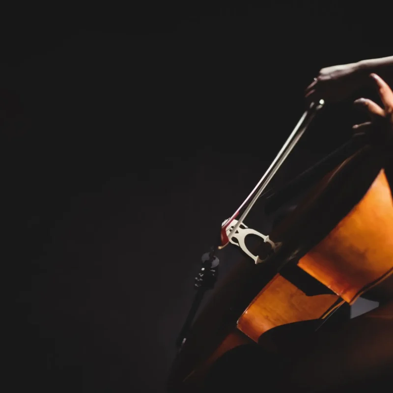 female-student-playing-violin female-student-playing-violin